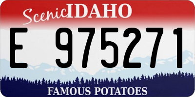 ID license plate E975271