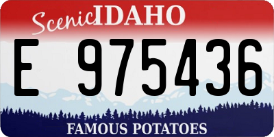 ID license plate E975436