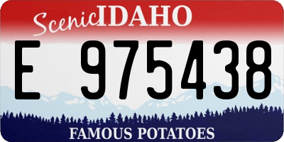 ID license plate E975438