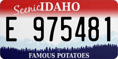 ID license plate E975481