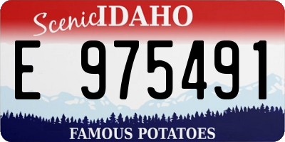 ID license plate E975491