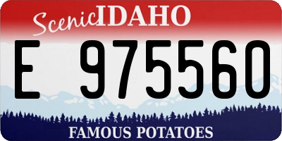 ID license plate E975560