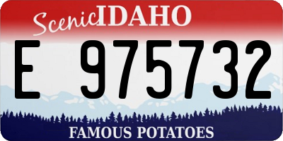 ID license plate E975732