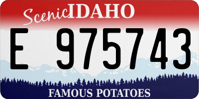 ID license plate E975743