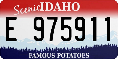 ID license plate E975911