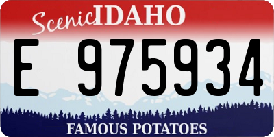 ID license plate E975934