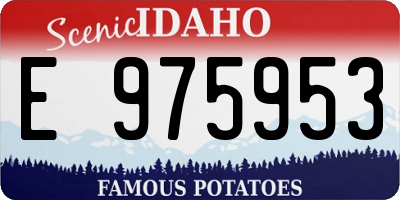 ID license plate E975953