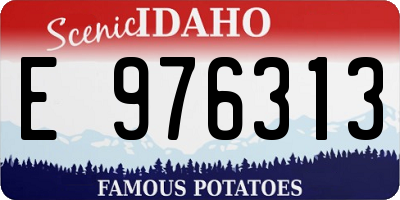 ID license plate E976313