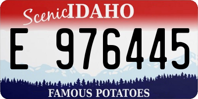 ID license plate E976445