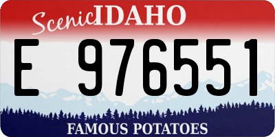 ID license plate E976551