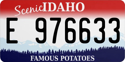 ID license plate E976633