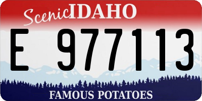 ID license plate E977113