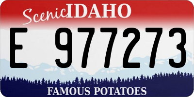 ID license plate E977273