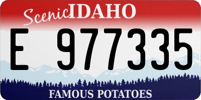 ID license plate E977335