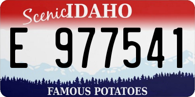 ID license plate E977541