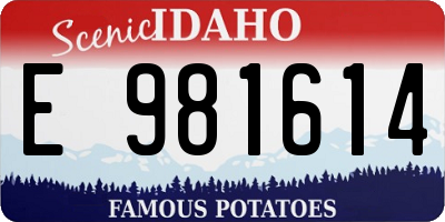 ID license plate E981614
