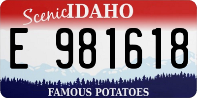ID license plate E981618