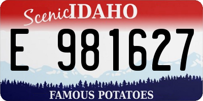 ID license plate E981627