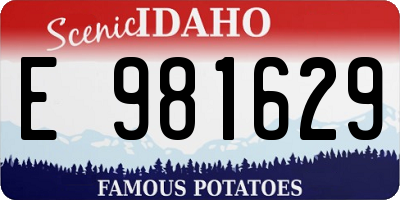 ID license plate E981629