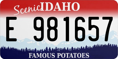 ID license plate E981657