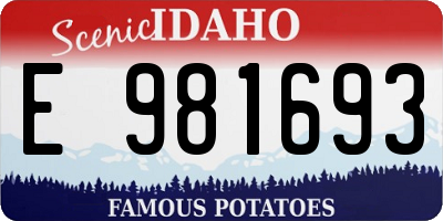 ID license plate E981693