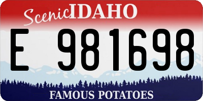 ID license plate E981698