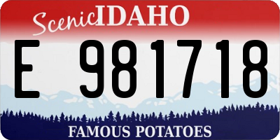 ID license plate E981718