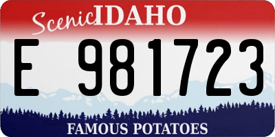 ID license plate E981723