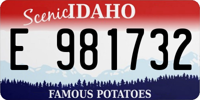 ID license plate E981732