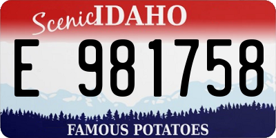 ID license plate E981758
