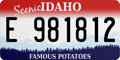 ID license plate E981812