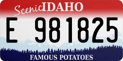 ID license plate E981825
