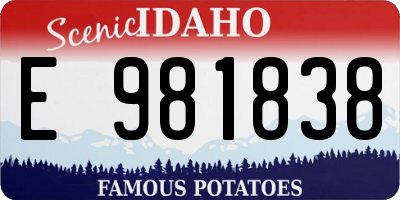 ID license plate E981838