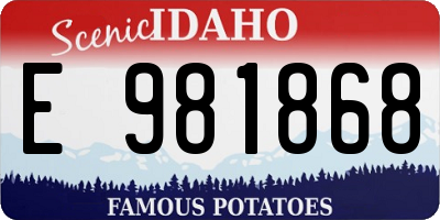 ID license plate E981868