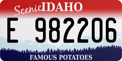 ID license plate E982206