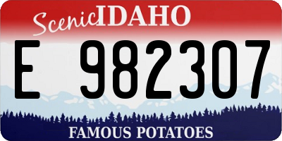 ID license plate E982307