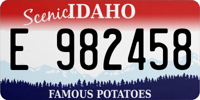 ID license plate E982458