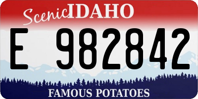 ID license plate E982842