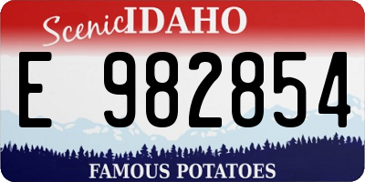 ID license plate E982854