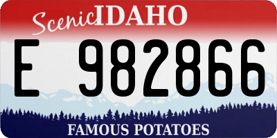 ID license plate E982866