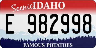 ID license plate E982998