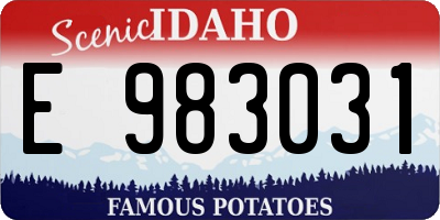 ID license plate E983031