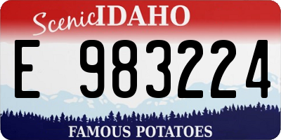 ID license plate E983224