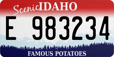 ID license plate E983234