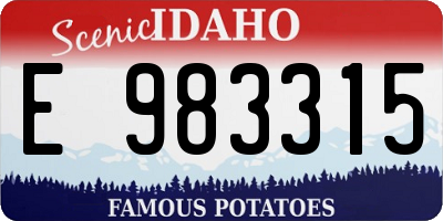 ID license plate E983315