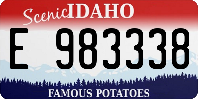 ID license plate E983338