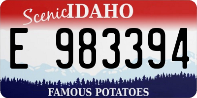 ID license plate E983394