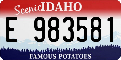 ID license plate E983581