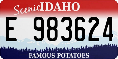 ID license plate E983624