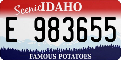 ID license plate E983655